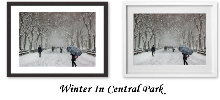Winter In Central Park Framed Print